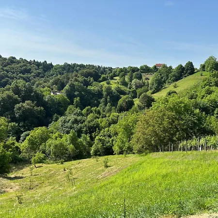 Haloze * Videm pri Ptuju