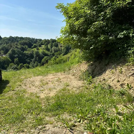 Haloze * Videm pri Ptuju