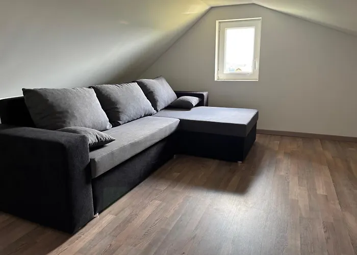 Haloze Videm pri Ptuju