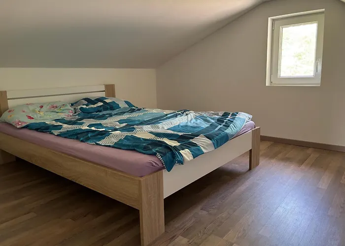 Haloze * Videm pri Ptuju