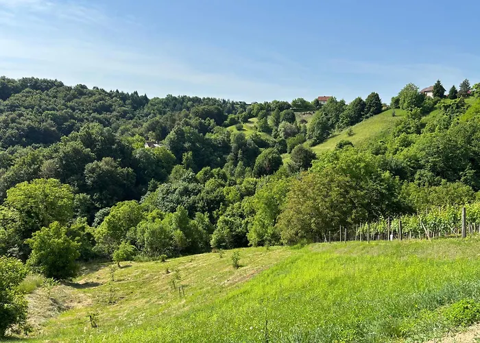 Haloze * Videm pri Ptuju