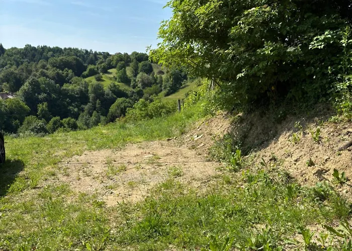 Haloze * Videm pri Ptuju